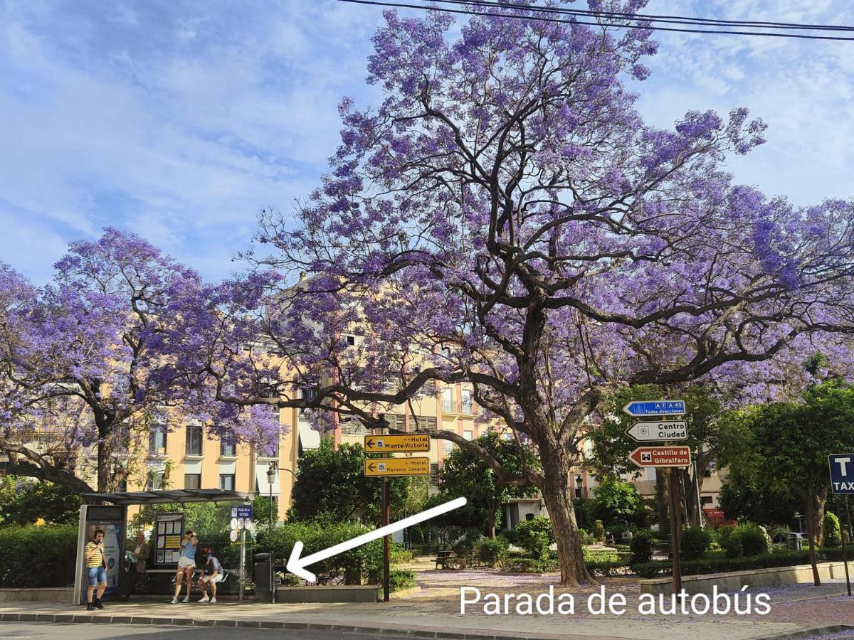 M&D Centro Malaga公寓 外观 照片